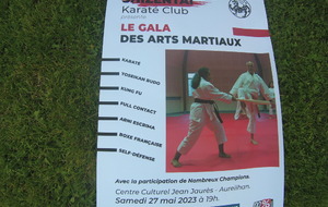 27 mai 2023,Gala des arts martiaux Aureilhan