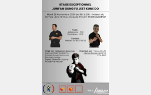 Jun Fan Jeet Kune Do