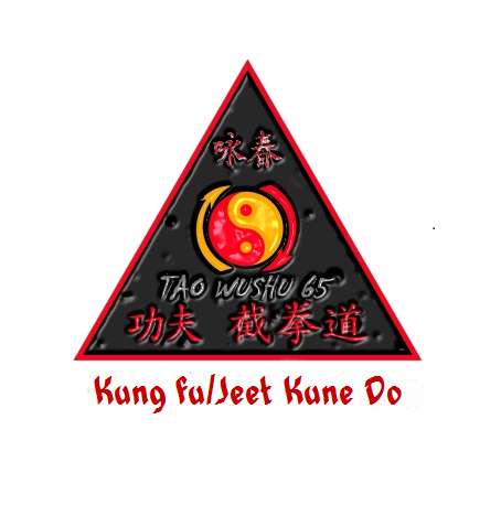 Cours Kung fu Wing Chun et  Jeet Kune Do